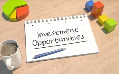 Where Investment Opportunities Lie