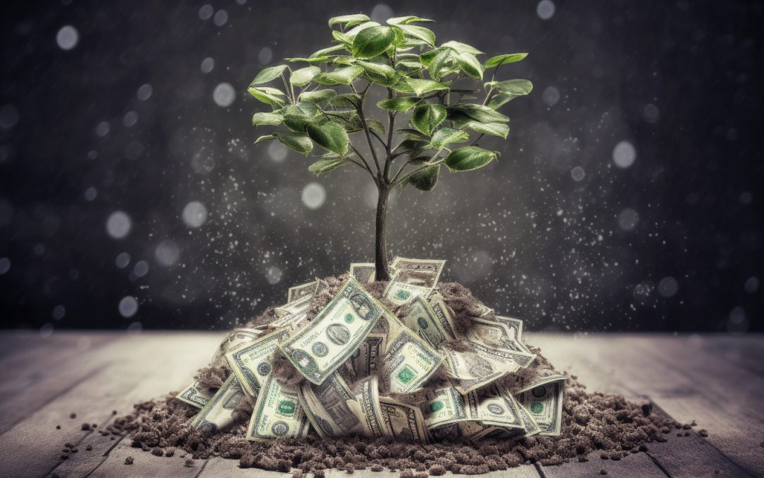 Build Wealth by Borrowing to Invest